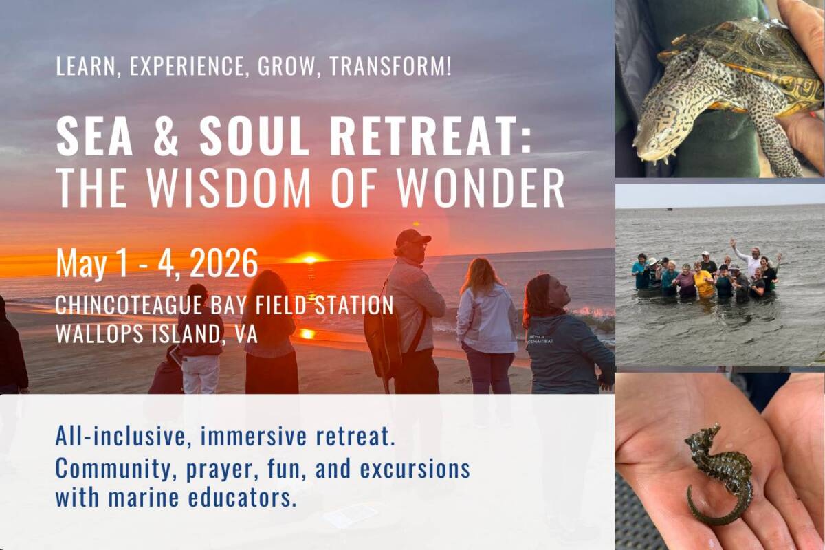 Sea & Soul Retreat People on a beach at sunset. Sea & Soul Retreat